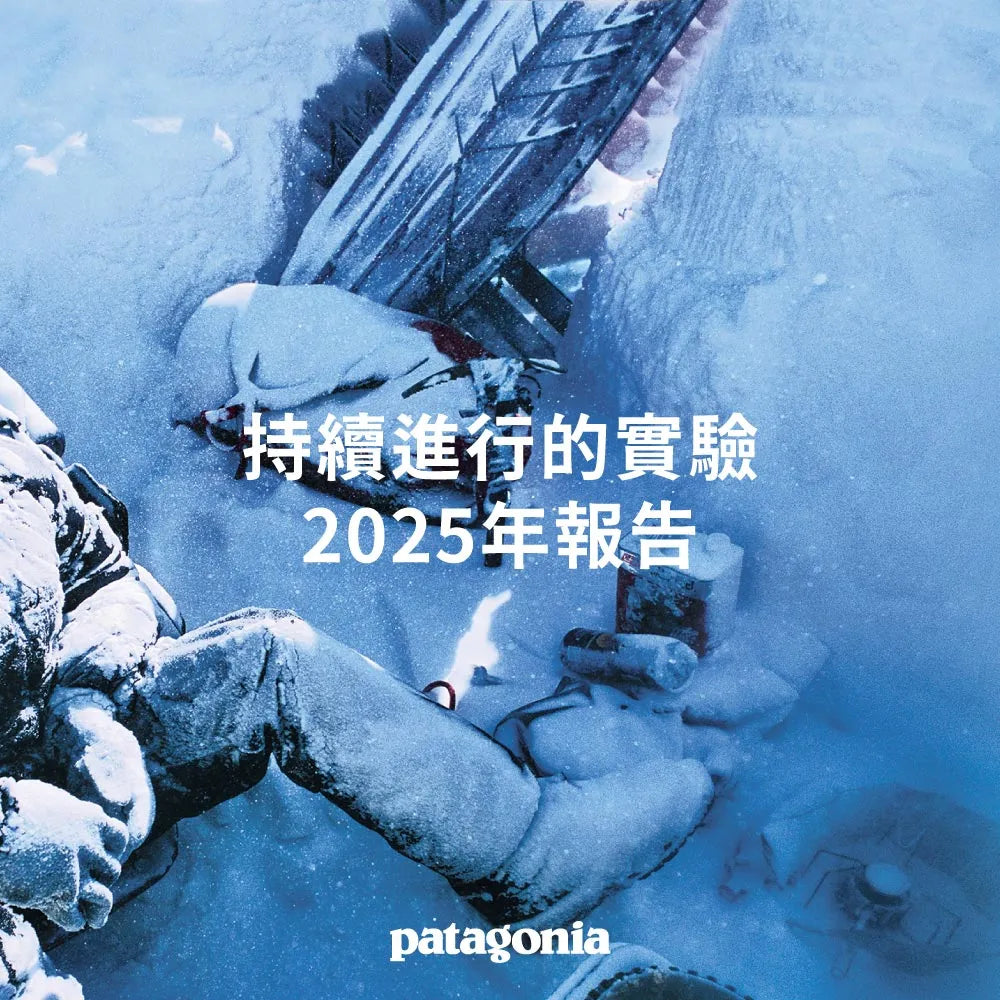 持續進行的實驗 2025年報告