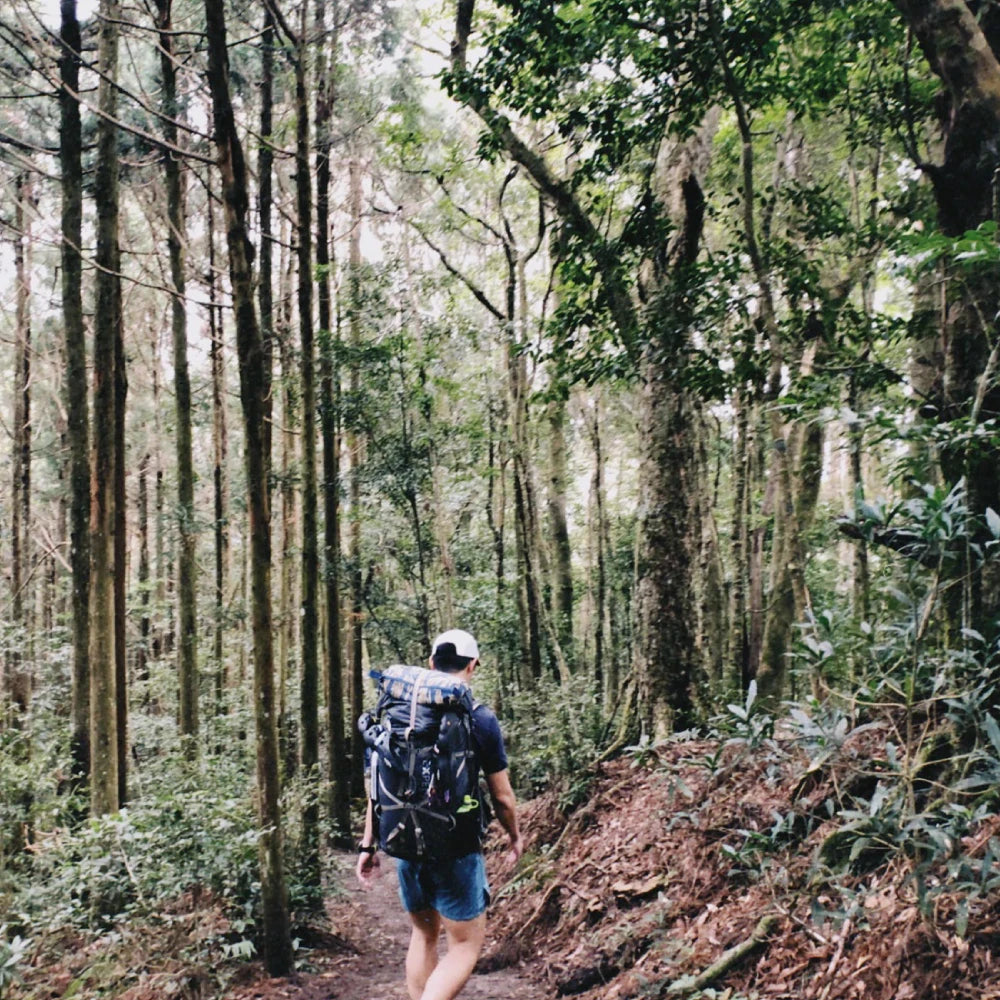 新竹尖石鄉高島縱走｜與朋友們的吊床露營。