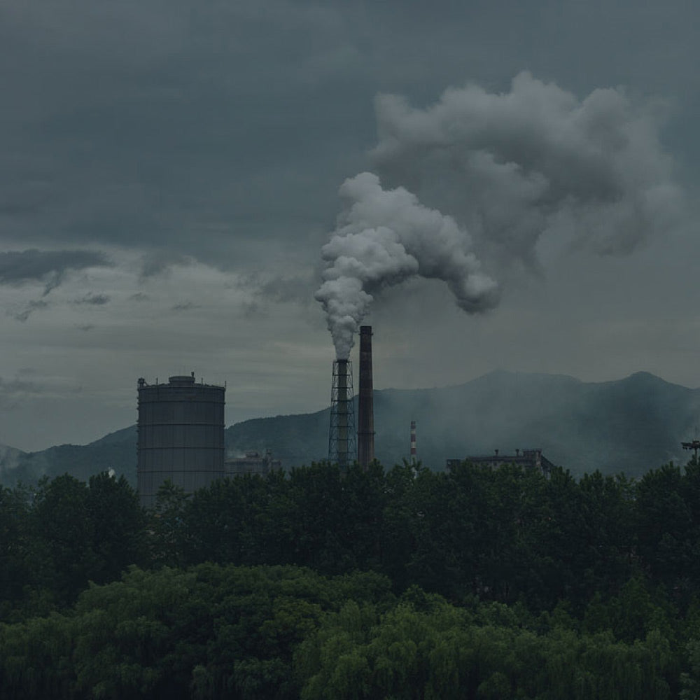 您的衣服有多乾淨？