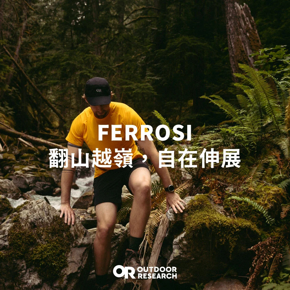 Ferrosi 系列