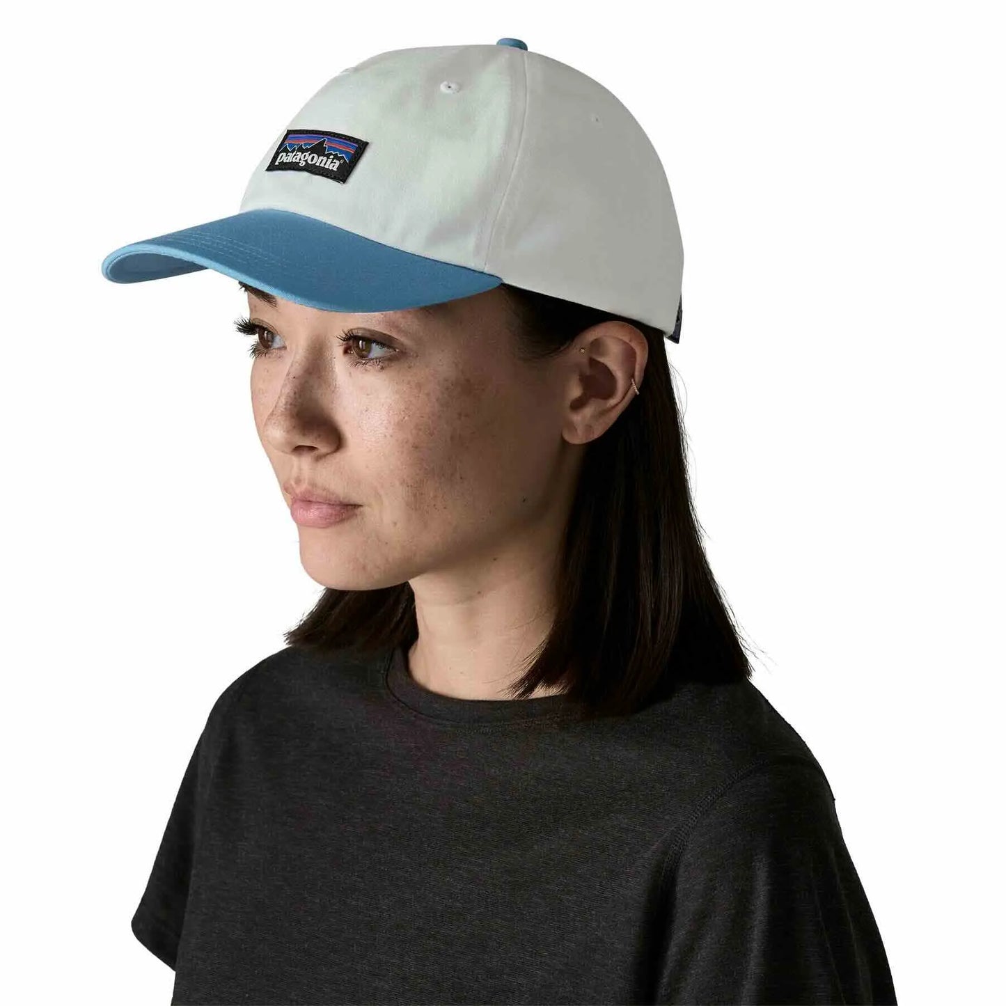 Patagonia® P-6 Label Trad Cap 經典Logo帽子| Pro Outdoor
