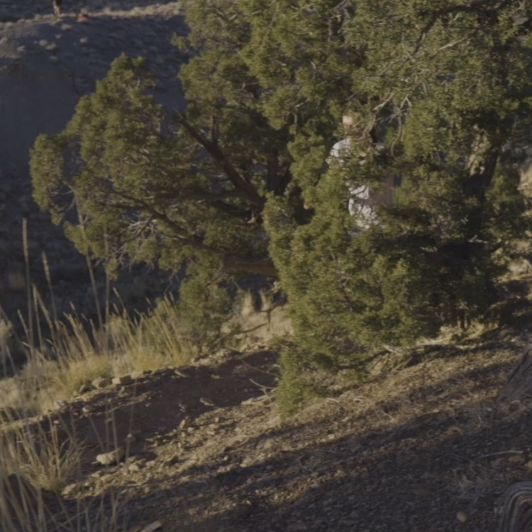 Patagonia®女款 Strider Pro Shorts - 3½"